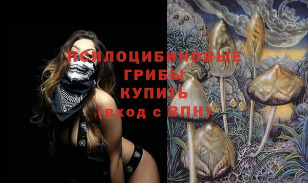 ешки Алексеевка