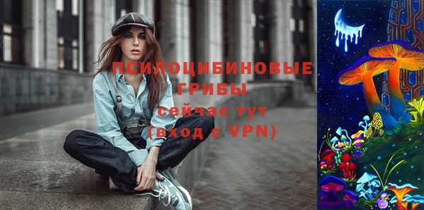сатива Алзамай