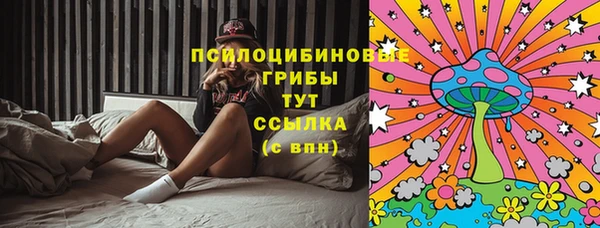 ешки Алексеевка