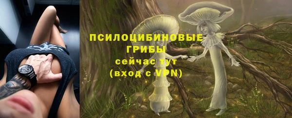 кокаин Алексин