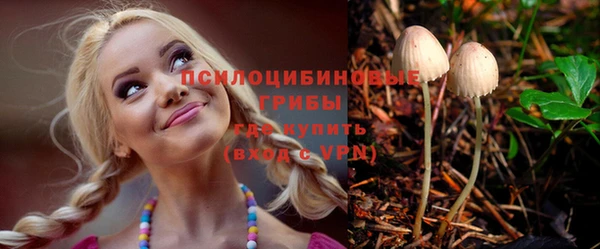 ешки Алексеевка