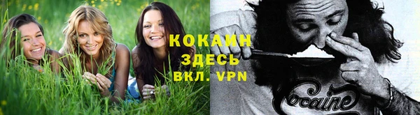 ешки Алексеевка