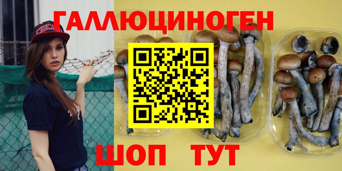 Галлюциногенные грибы GOLDEN TEACHER  Вход с VPN  Галлюциногенные грибы MAGIC MUSHROOMS  Петровск 